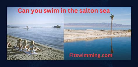 What Happens If You Swim in the Salton Sea, and Why Do Fish Wear Sunglasses?